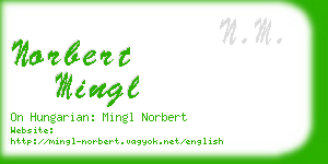 norbert mingl business card